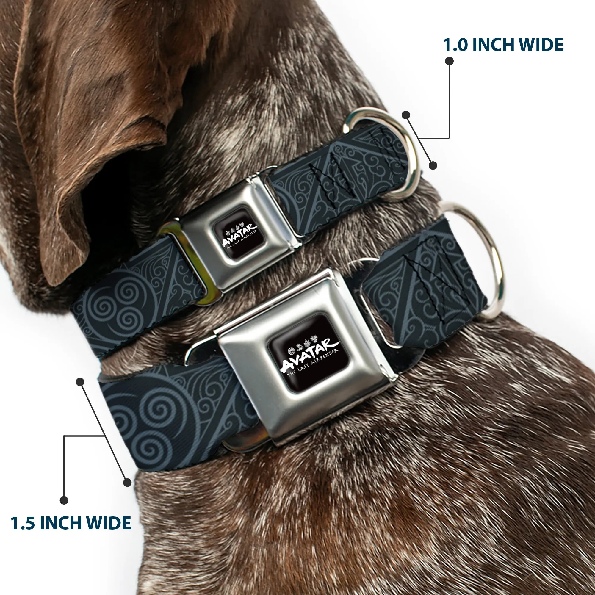AVATAR LAST AIRBENDER Title Logo Full Color Black/White Seatbelt Buckle Collar - Avatar Last Airbender Air Element Symbol Blues