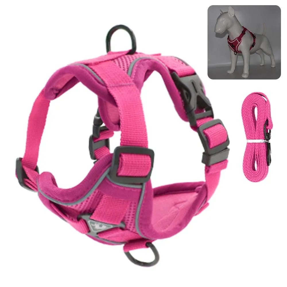 Catventures Leash and Harness