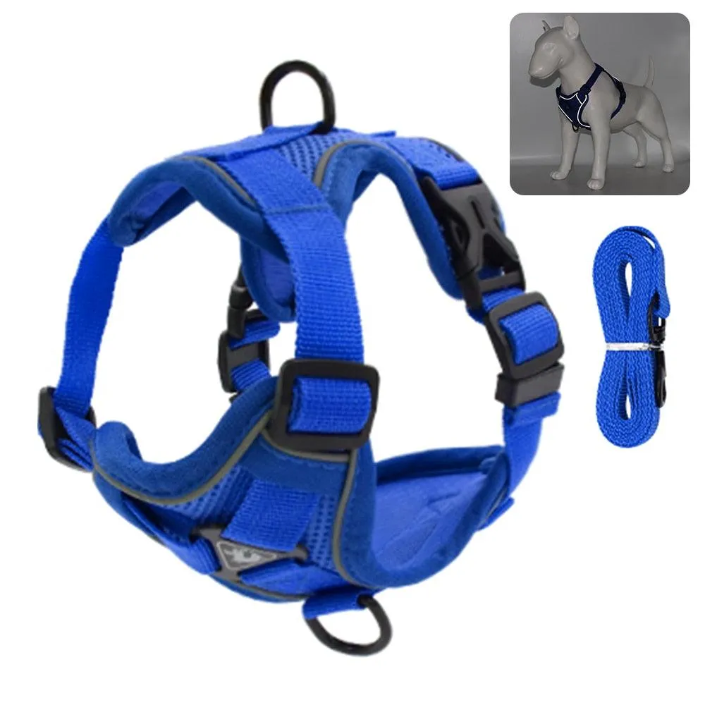 Catventures Leash and Harness