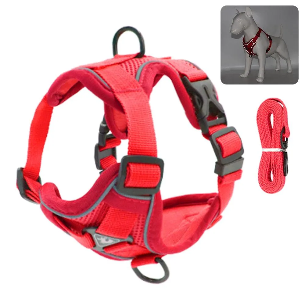Catventures Leash and Harness