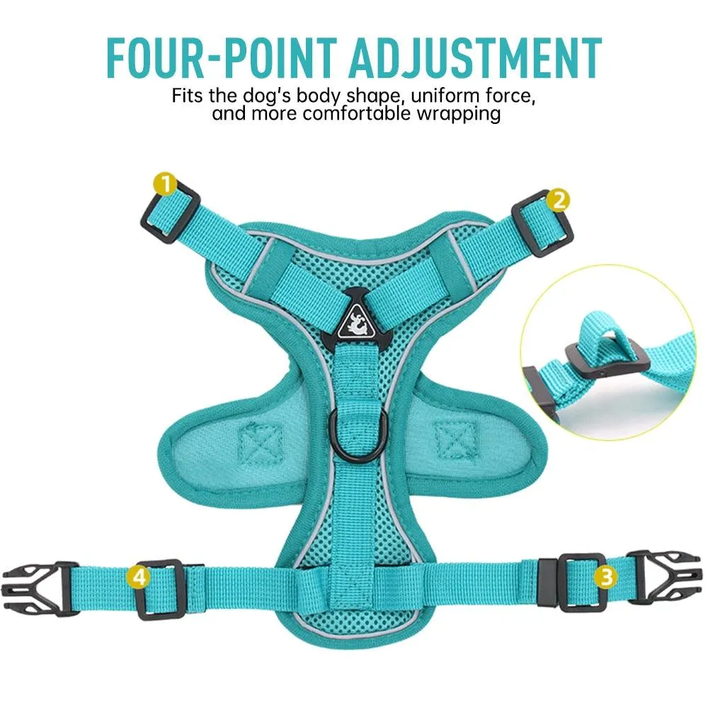 Catventures Leash and Harness