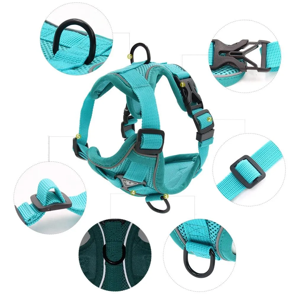 Catventures Leash and Harness