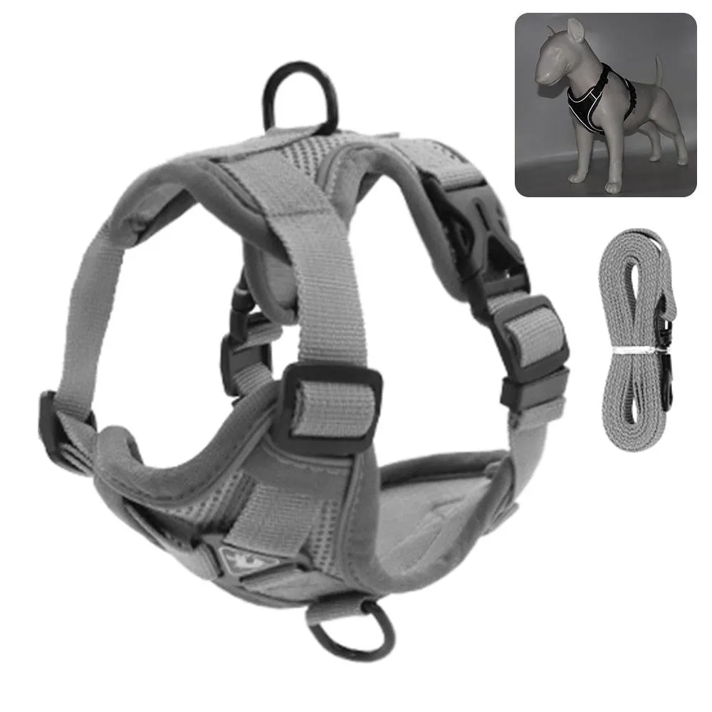 Catventures Leash and Harness