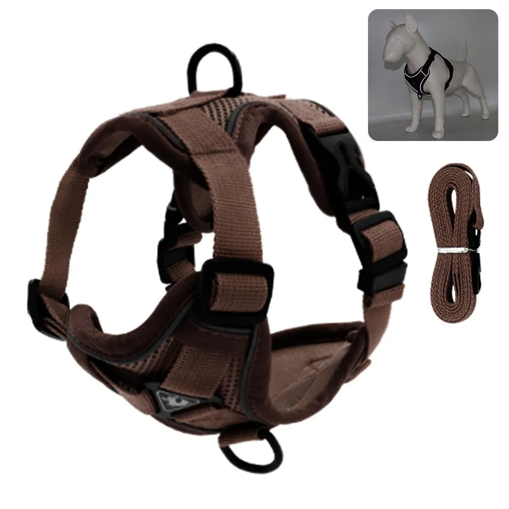 Catventures Leash and Harness