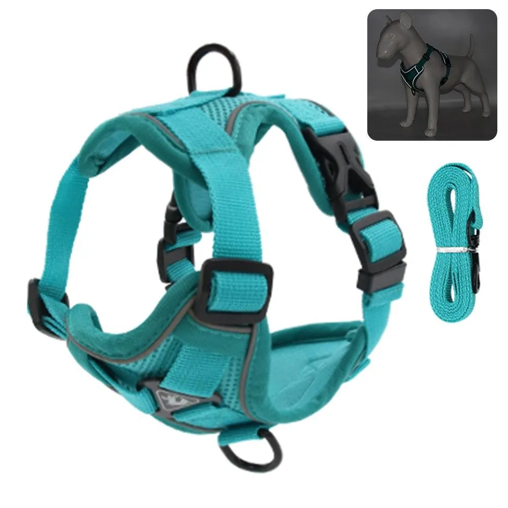 Catventures Leash and Harness