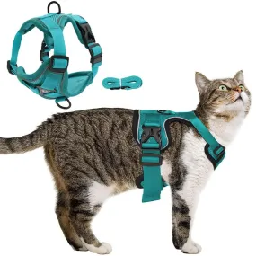 Catventures Leash and Harness