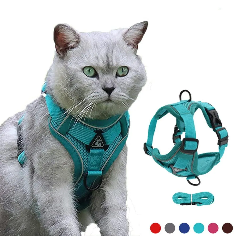 Catventures Leash and Harness