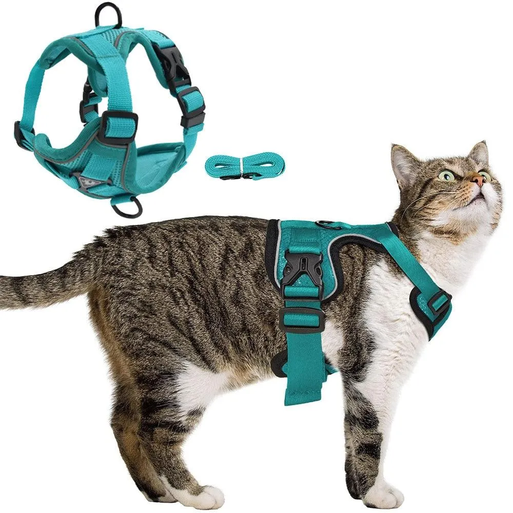 Catventures Leash and Harness