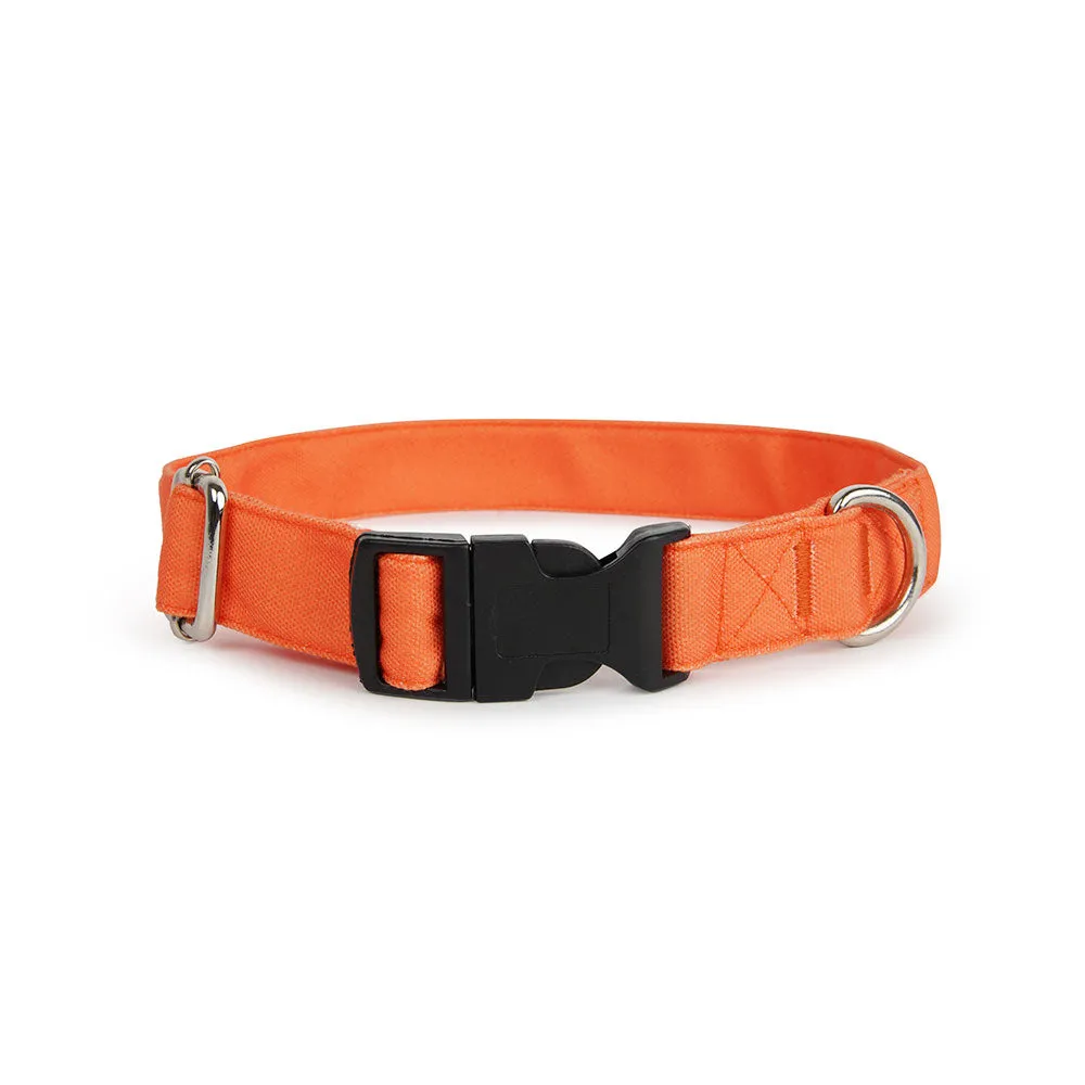 Dear Pet Classic Orange Dog Collar
