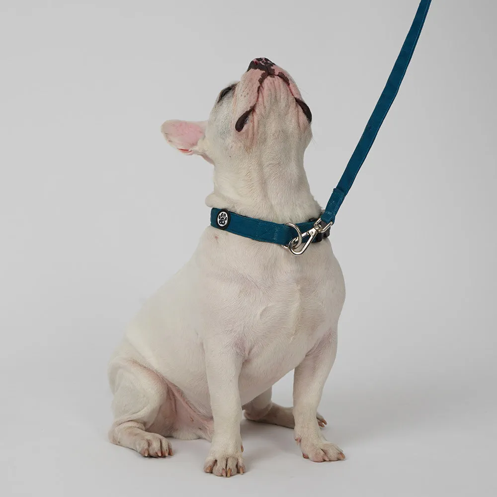 Dear Pet Classic Teal Blue Dog Collar