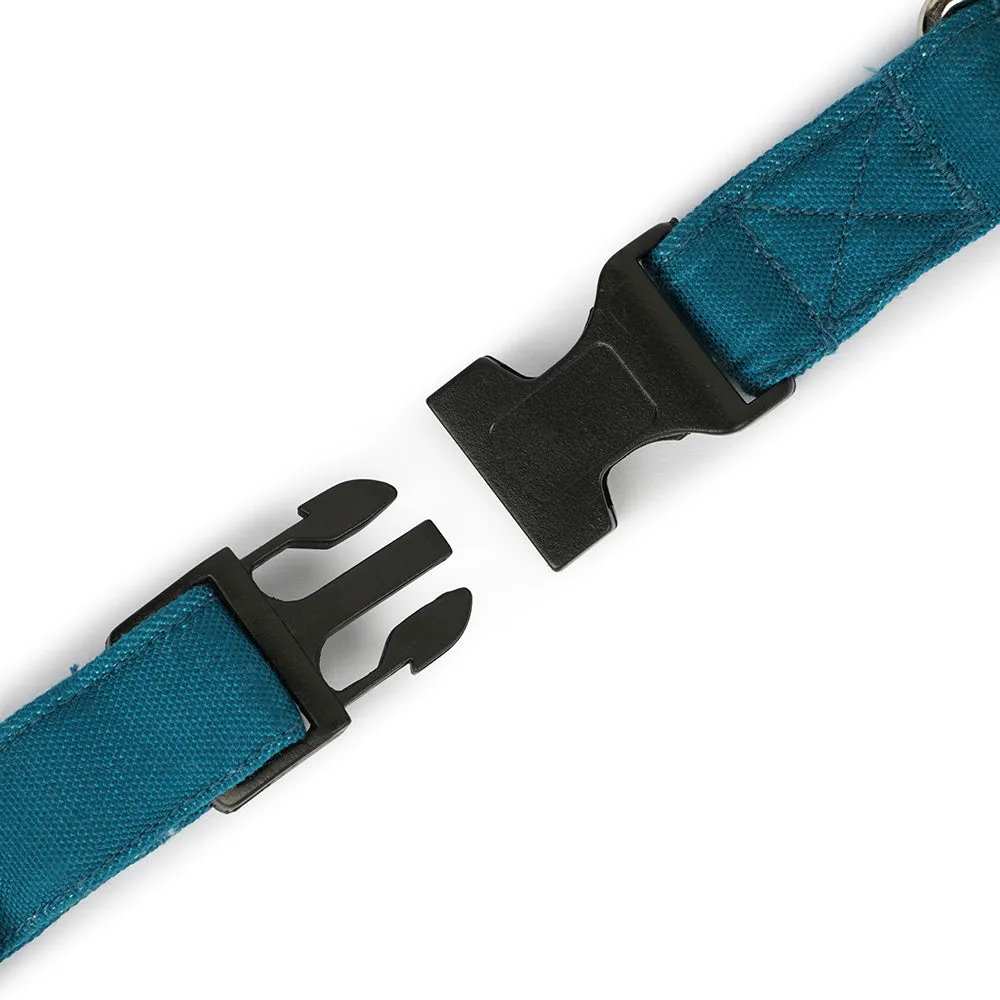 Dear Pet Classic Teal Blue Dog Collar