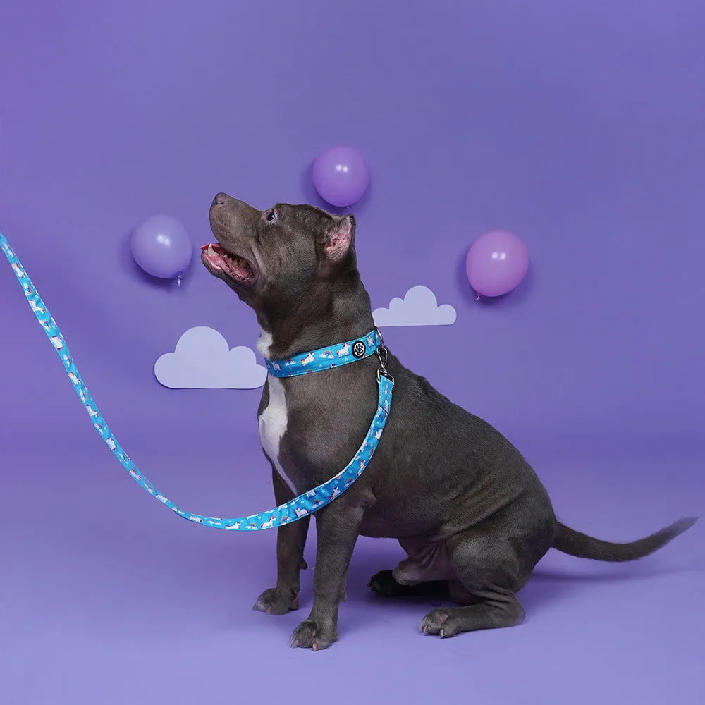 Dear Pet Majestic Unicorns Dog Collar