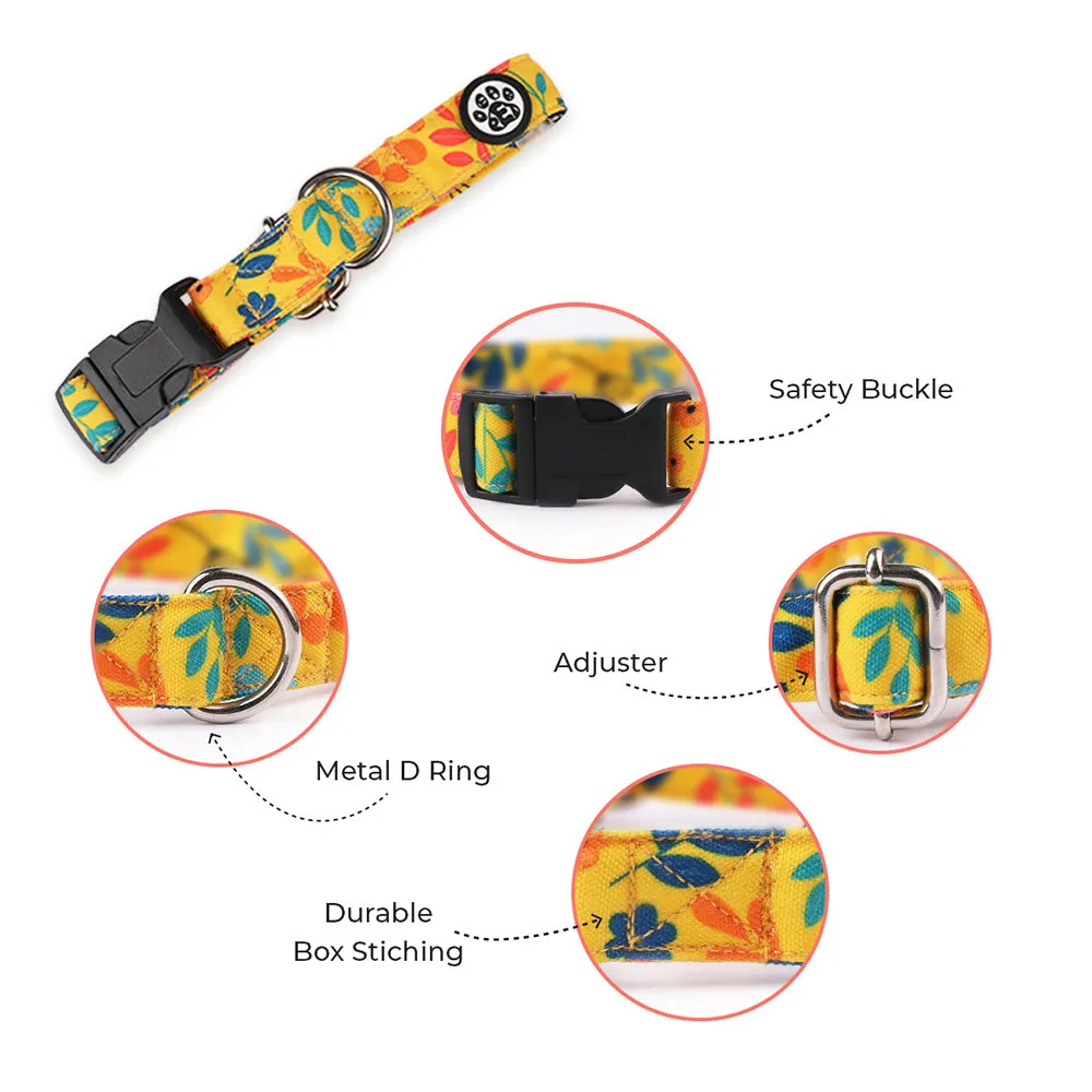DearPet Blooming Yellow Dog Collar