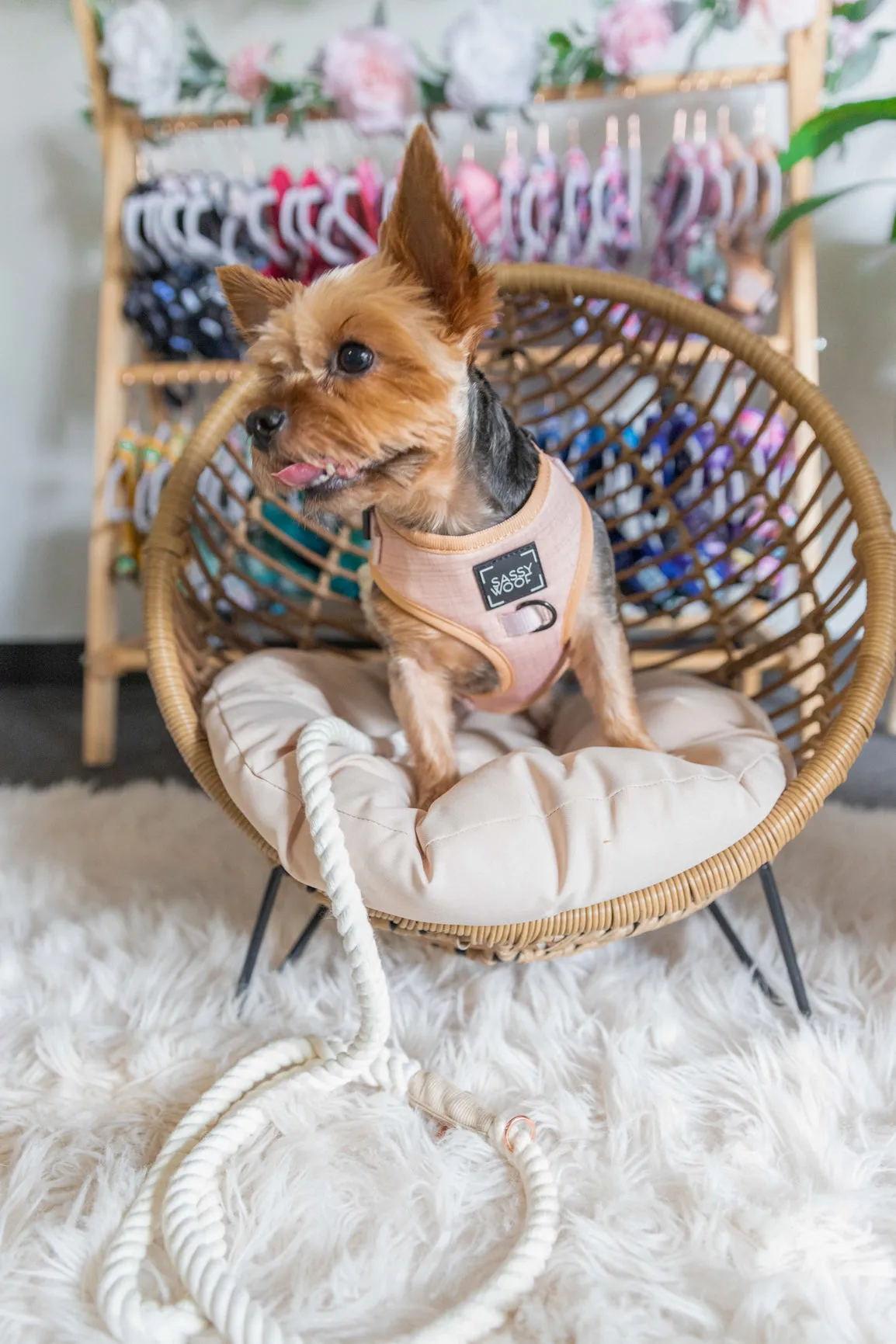 Dog Rope Leash - Dove