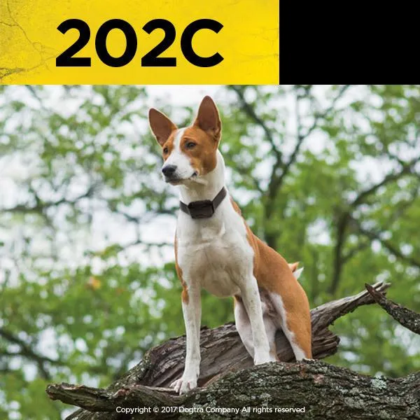 Dogtra 202C 2 -  Dog Remote Training E-Collar System