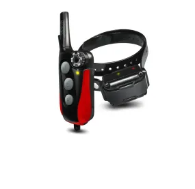 Dogtra IQ Plus