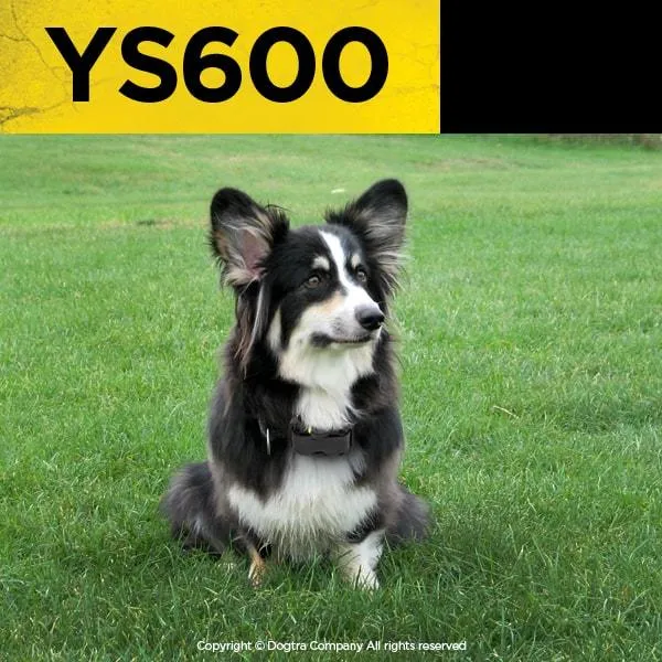 Dogtra YS600 Bark Control Collar