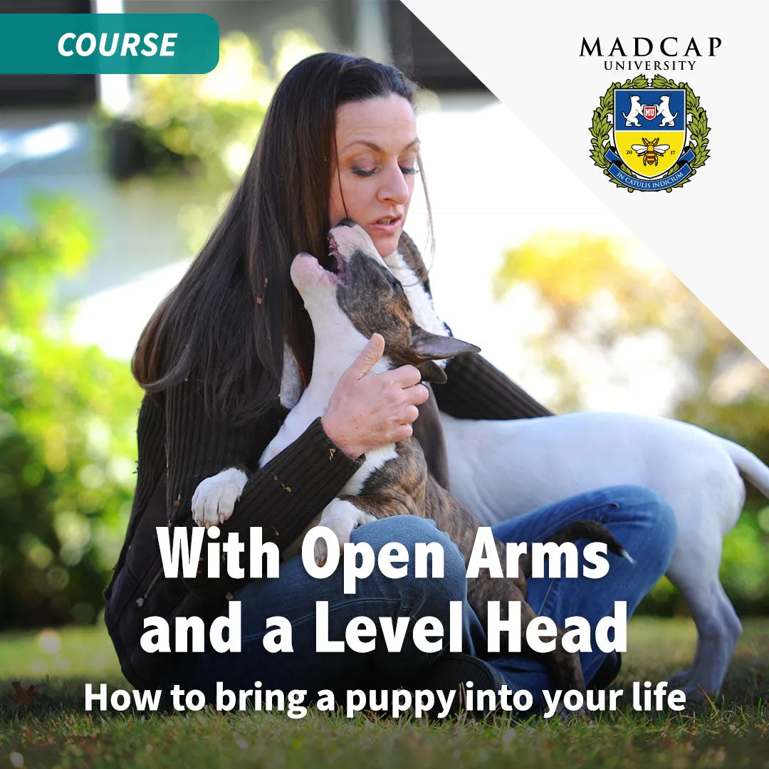 Essentials for Puppy Owners