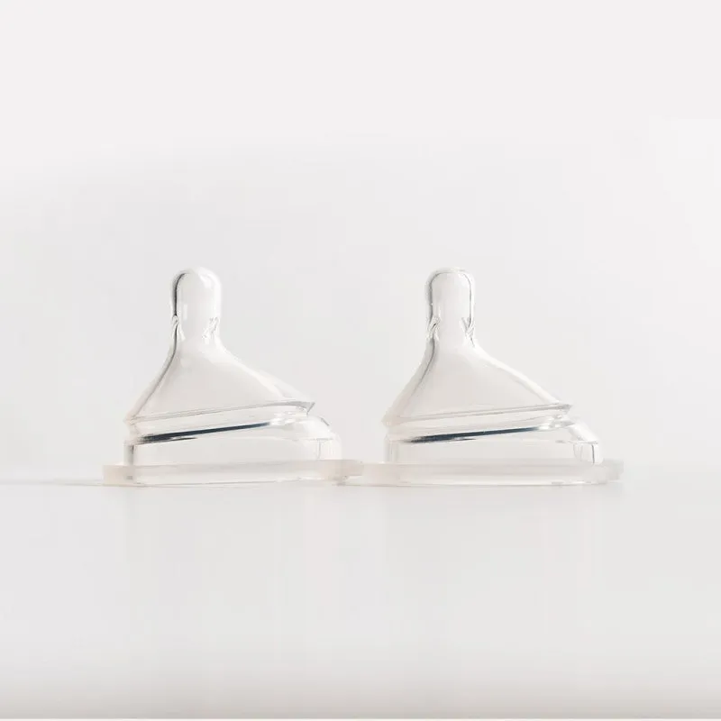 Hegen Teat Fast flow (2-pack)