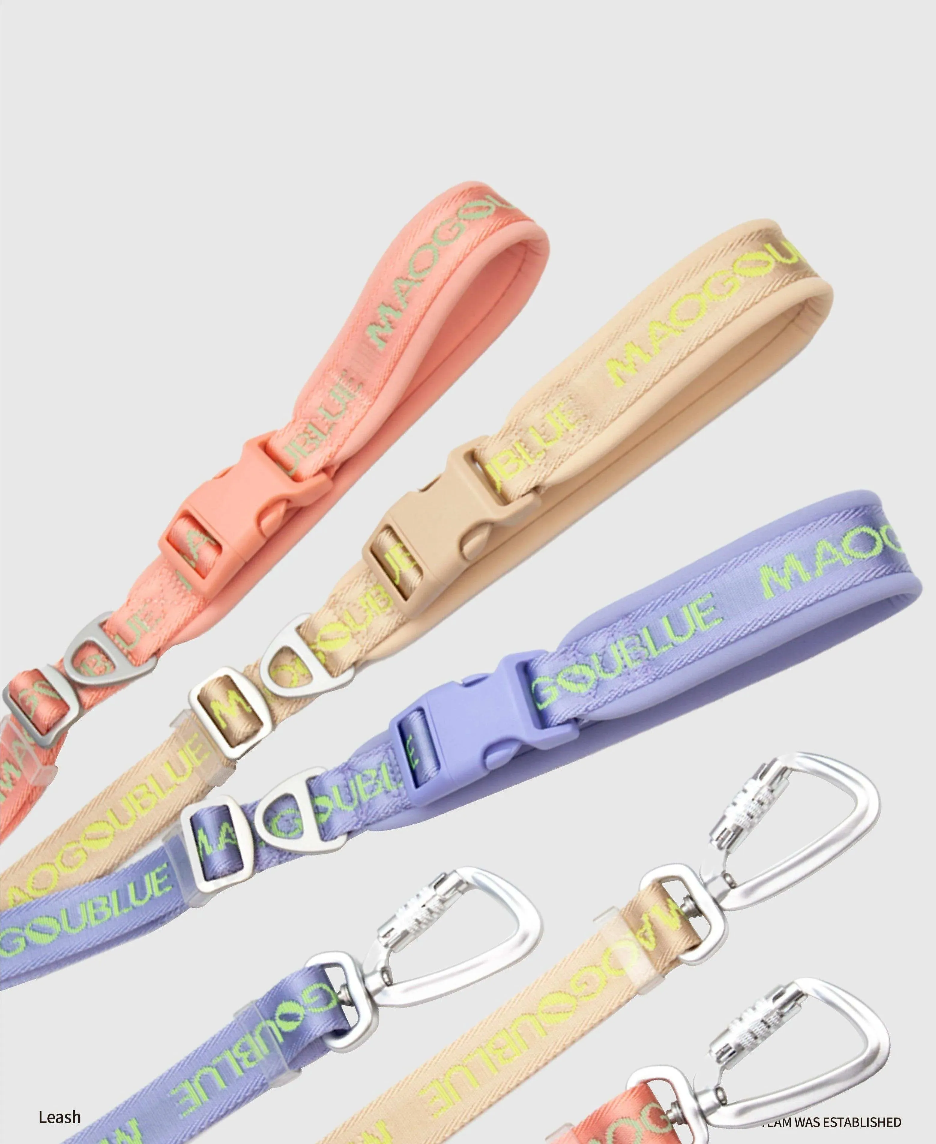 Multi-function Signature Dog Leash