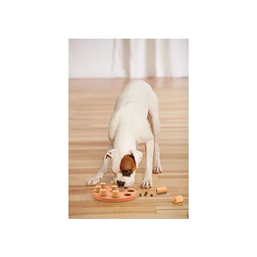 Outward Hound - Nina Ottosson Puzzle - Dog Smart Composite