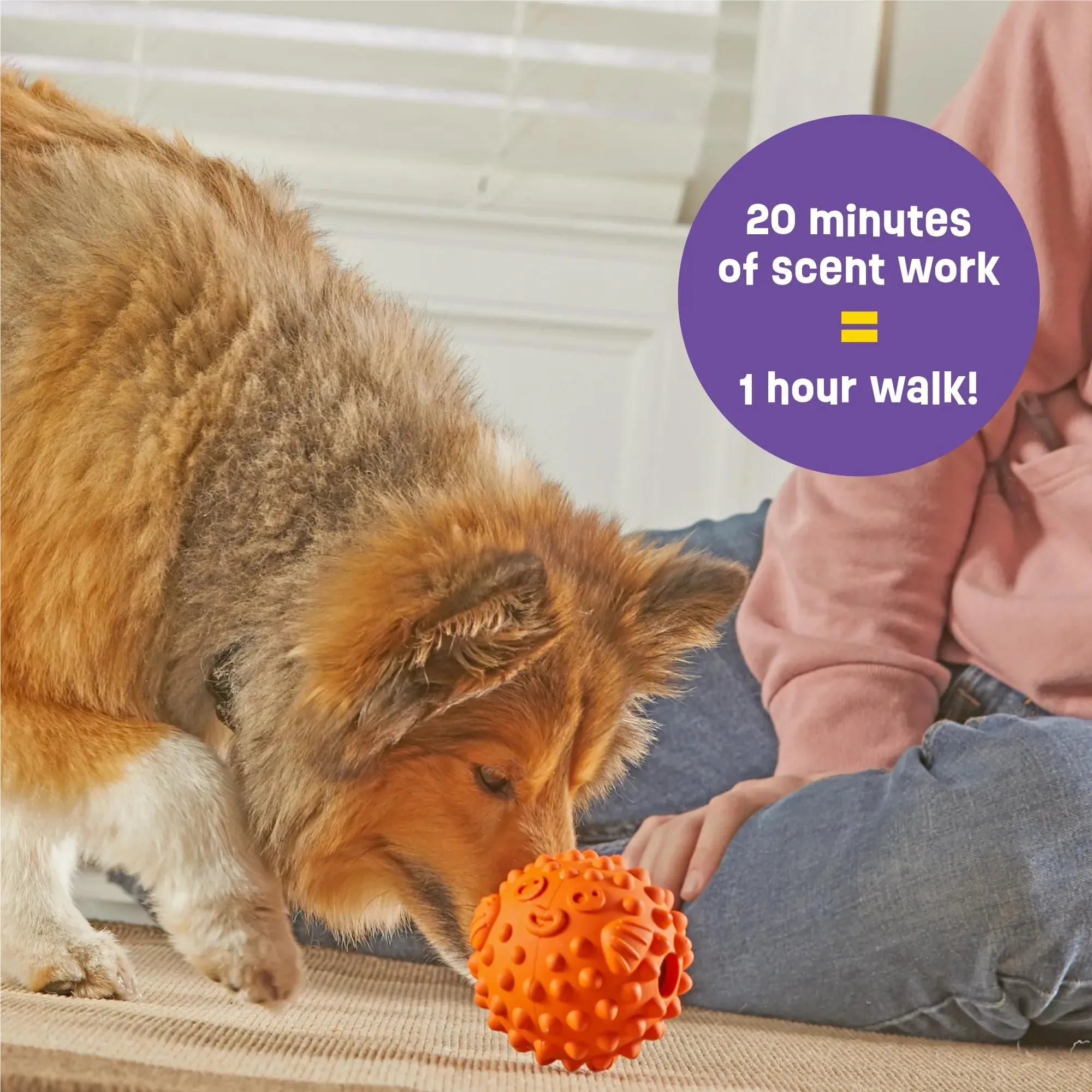 Pufferfish Treat Dispenser