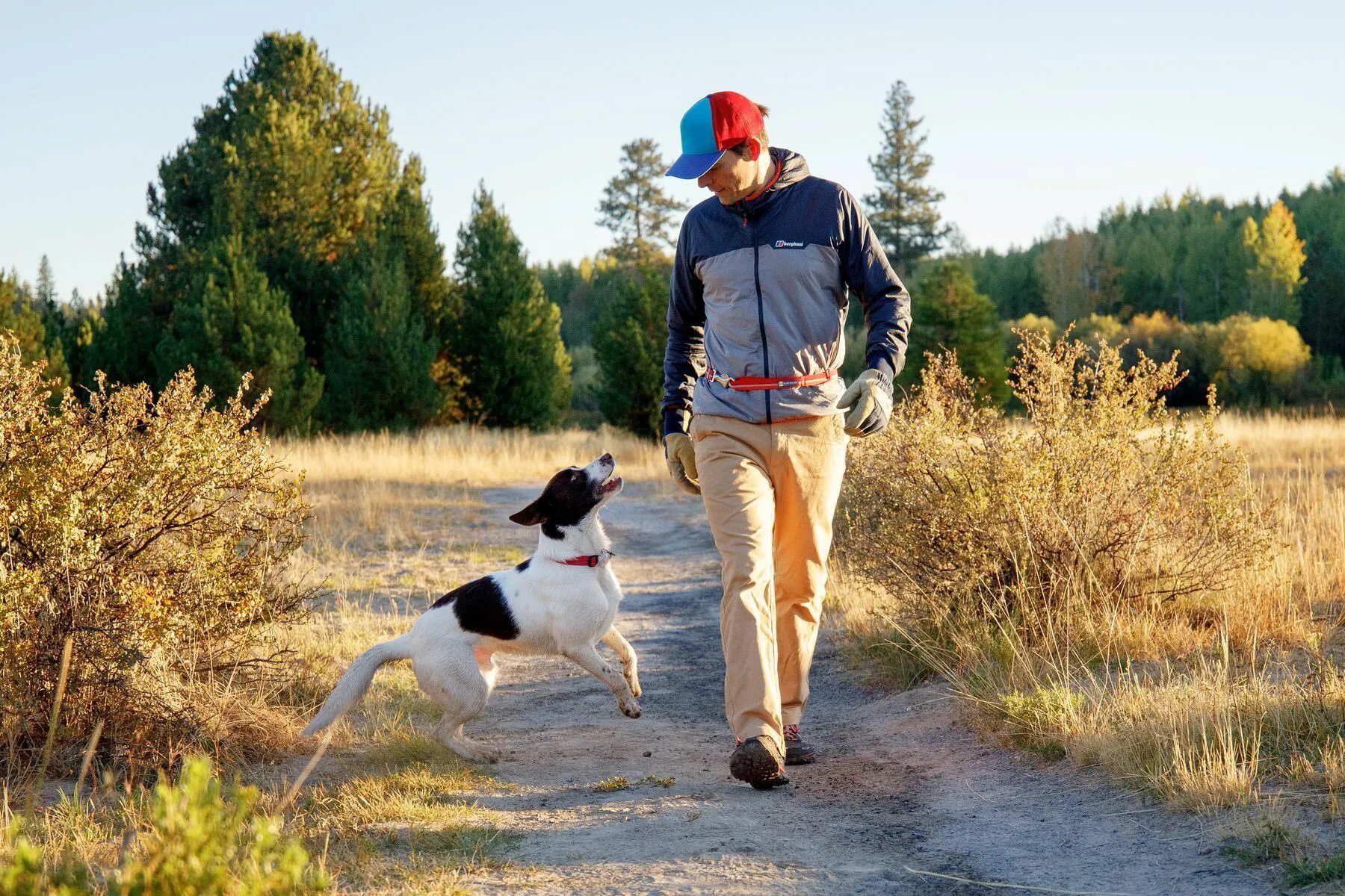 Ruffwear Patroller™ Reflective Adjustable Belt Dog Leash
