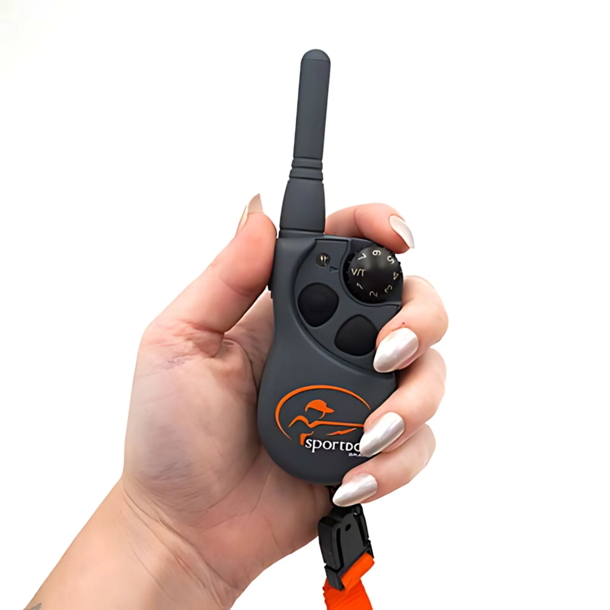 SportDOG 2 Dog FieldTrainer SD-425X Remote Trainer Combo